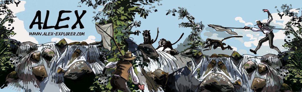 banni�re Alex l'Explorateur