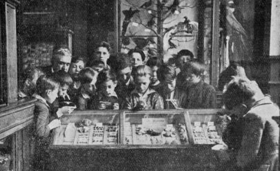 Des &eacute;coliers visitent le Mus&eacute;um d'Histoire Naturelle du Havre