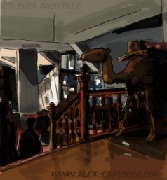 L'int&eacute;rieur du Mus&eacute;um d'Histoire Naturelle du Havre, par Yves Boistelle