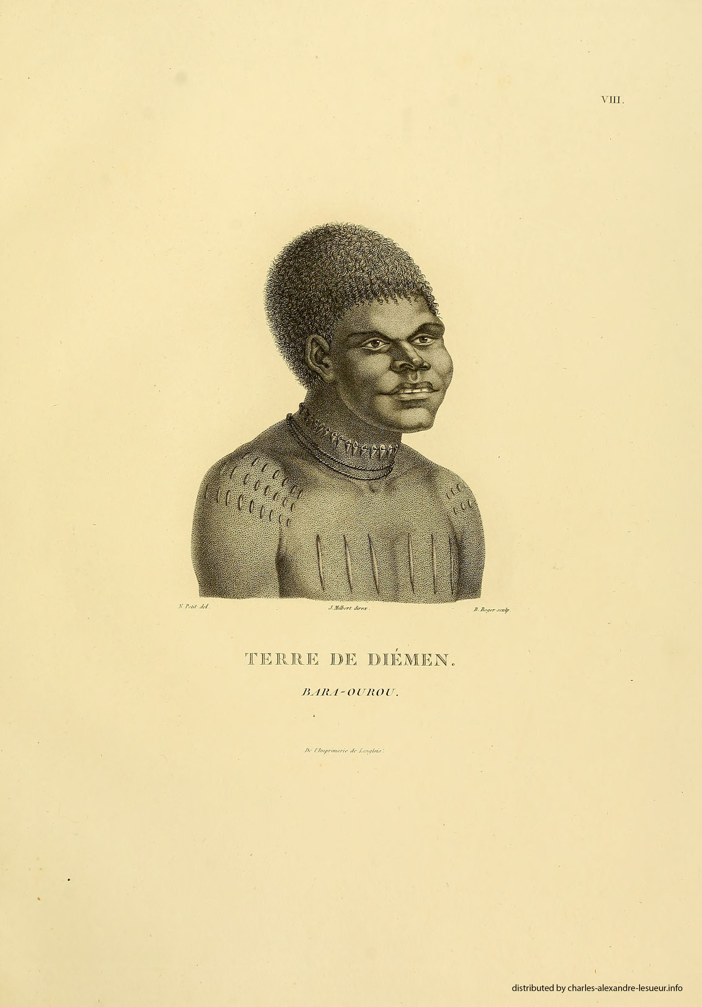 Atlas 1807, Lesueur & Petit, planche 8