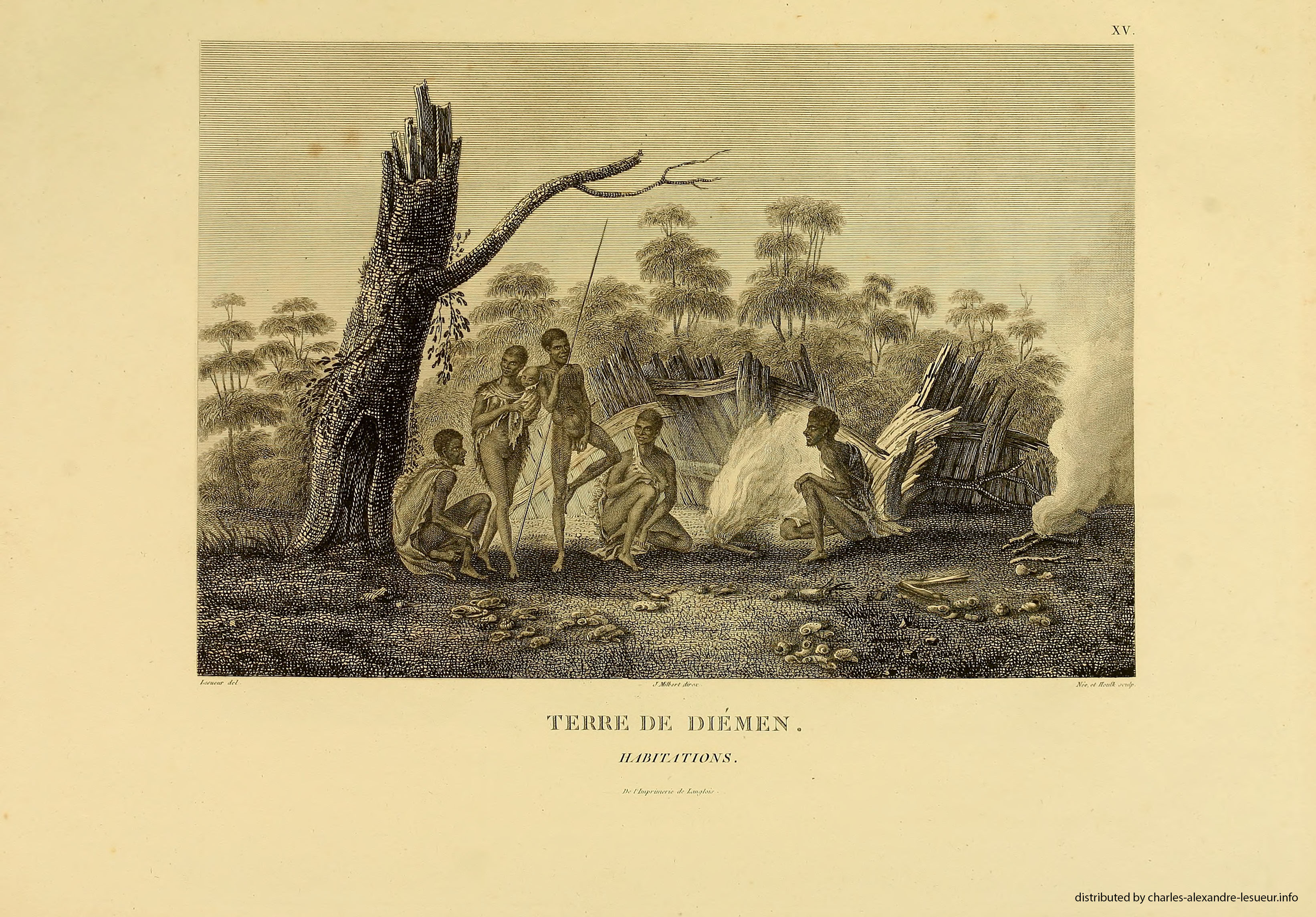 Atlas 1807, Lesueur & Petit, planche 15