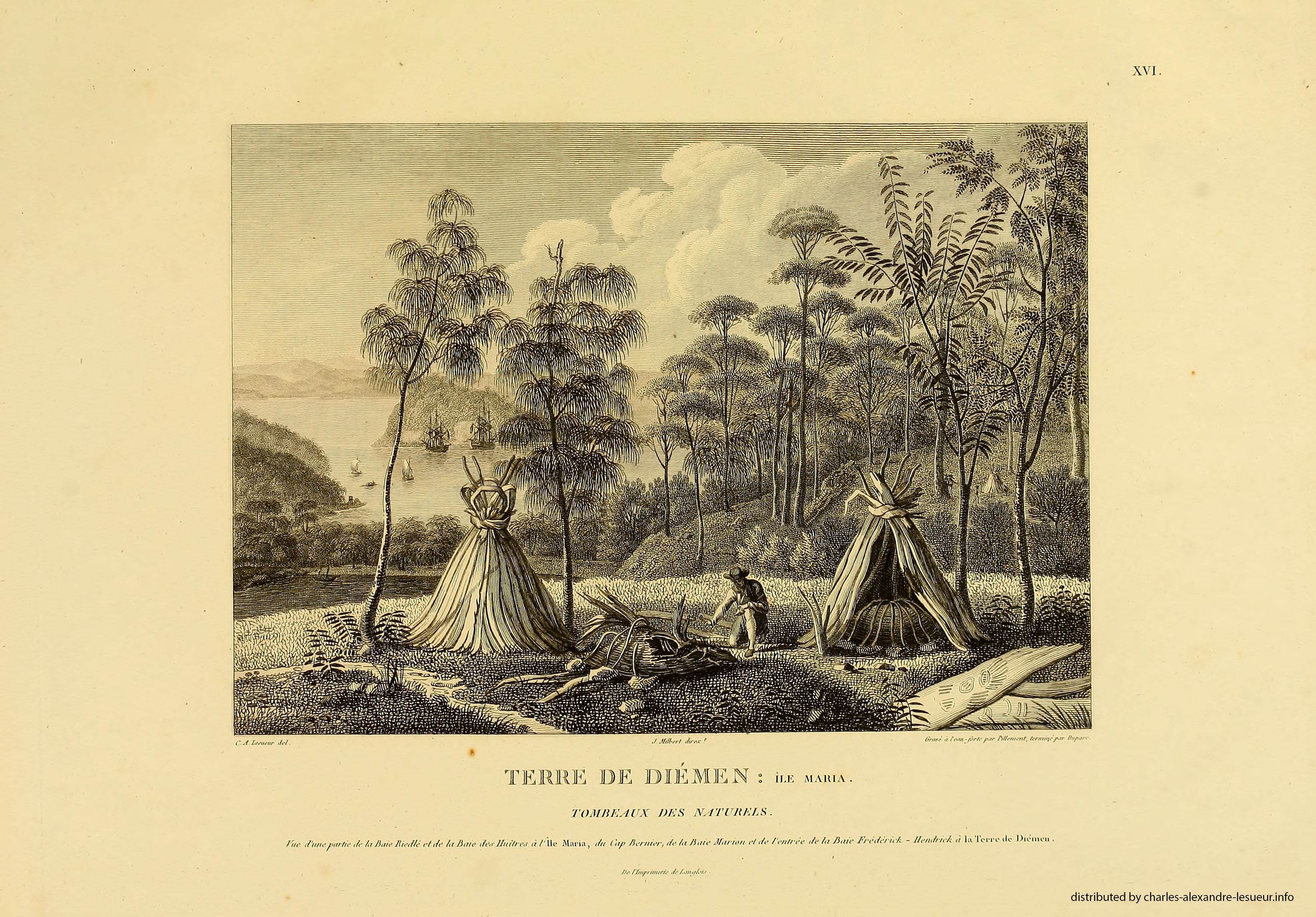 Atlas 1807, Lesueur & Petit, planche 16