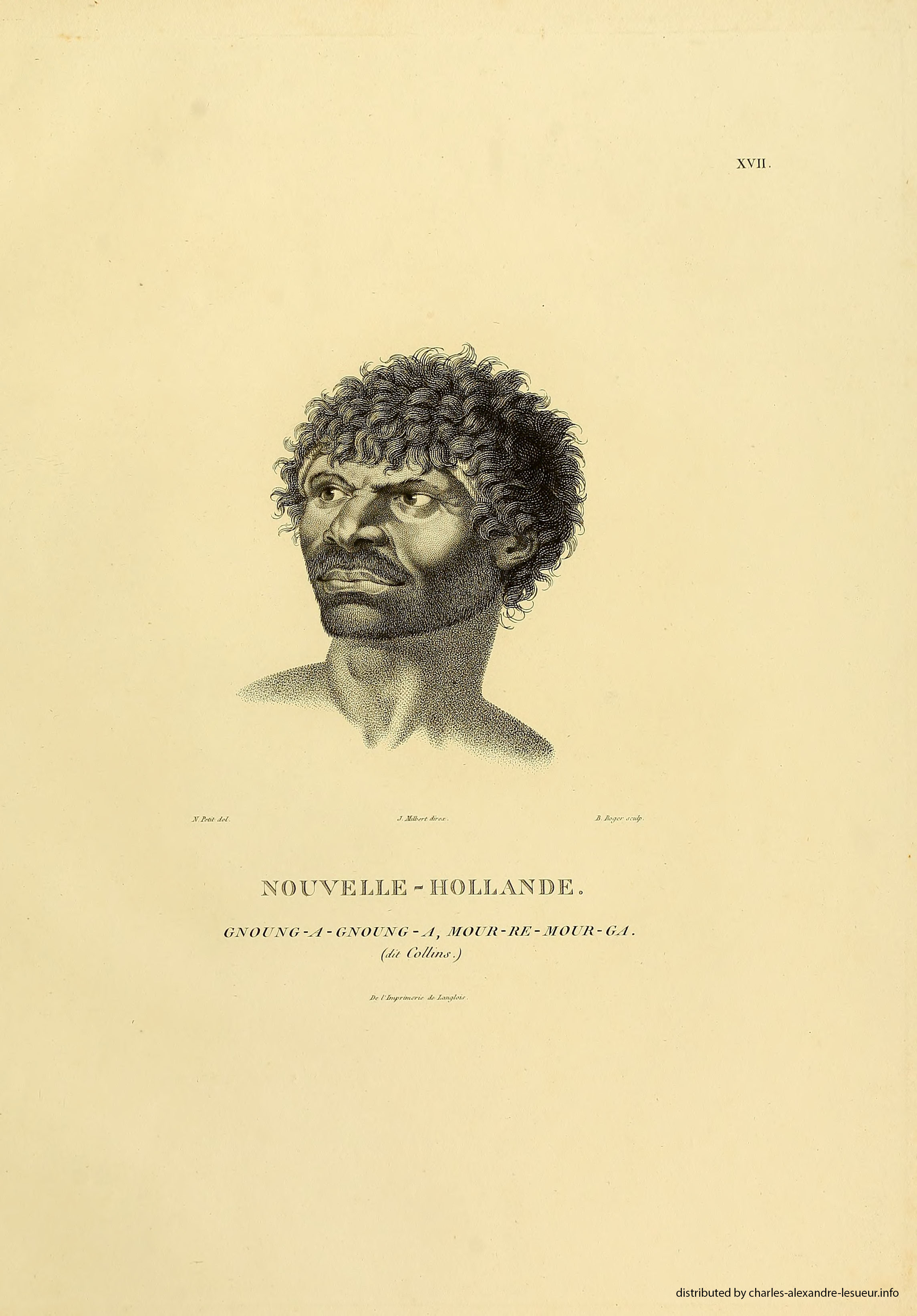 Atlas 1807, Lesueur & Petit, planche 17