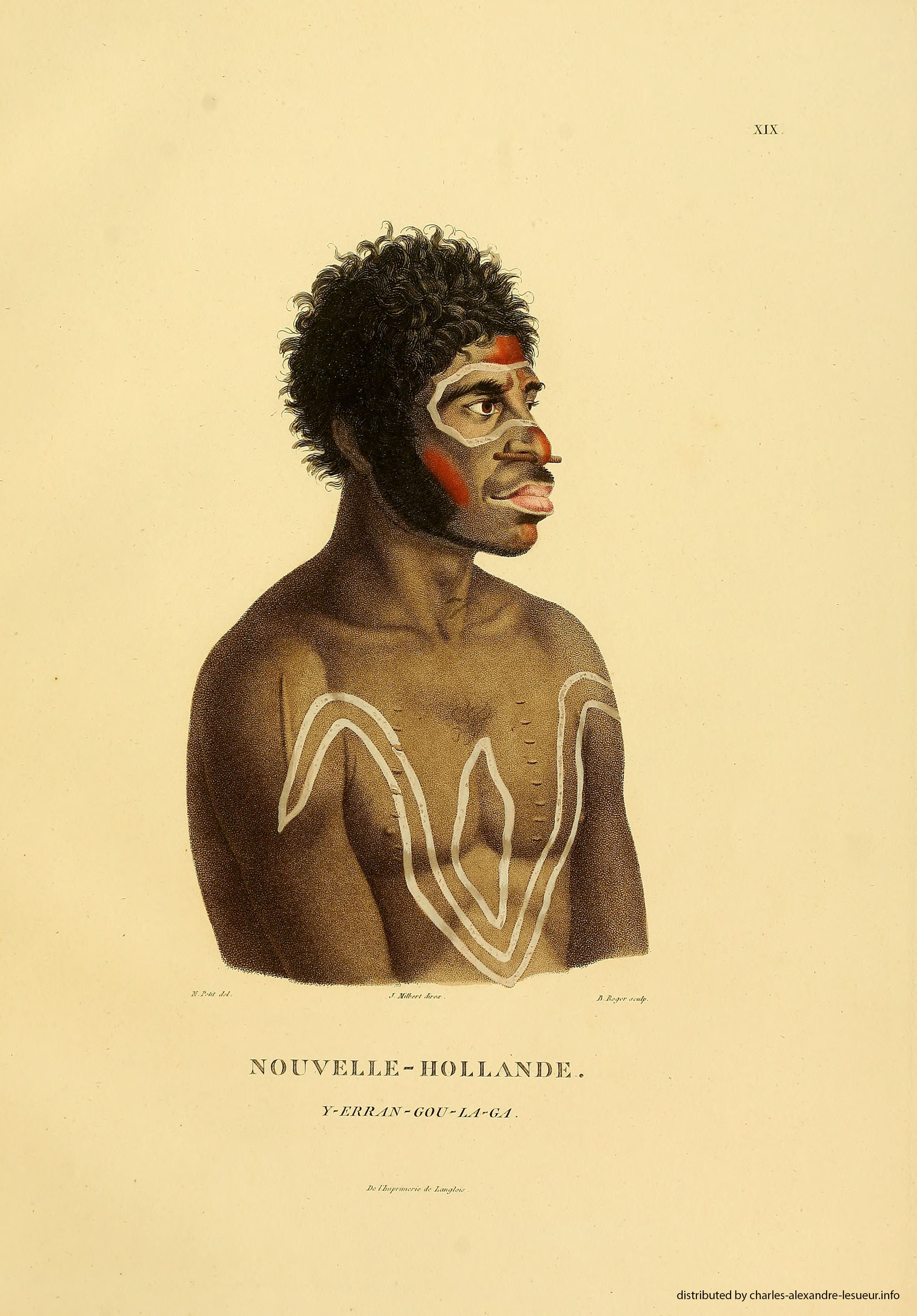 Atlas 1807, Lesueur & Petit, planche 19