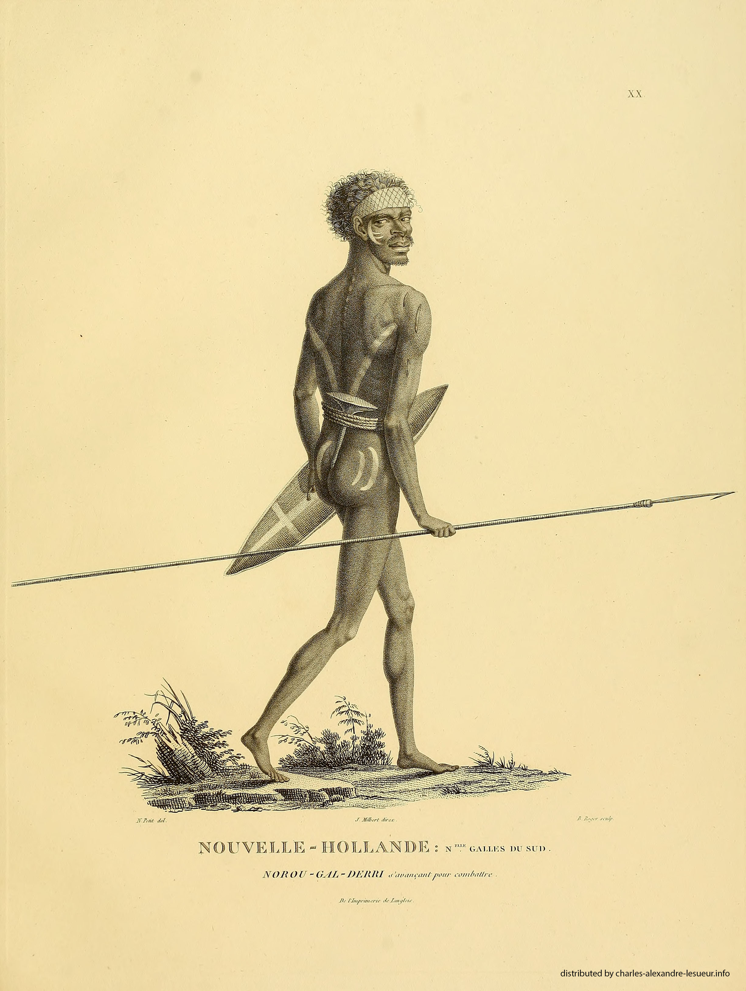 Atlas 1807, Lesueur & Petit, planche 20