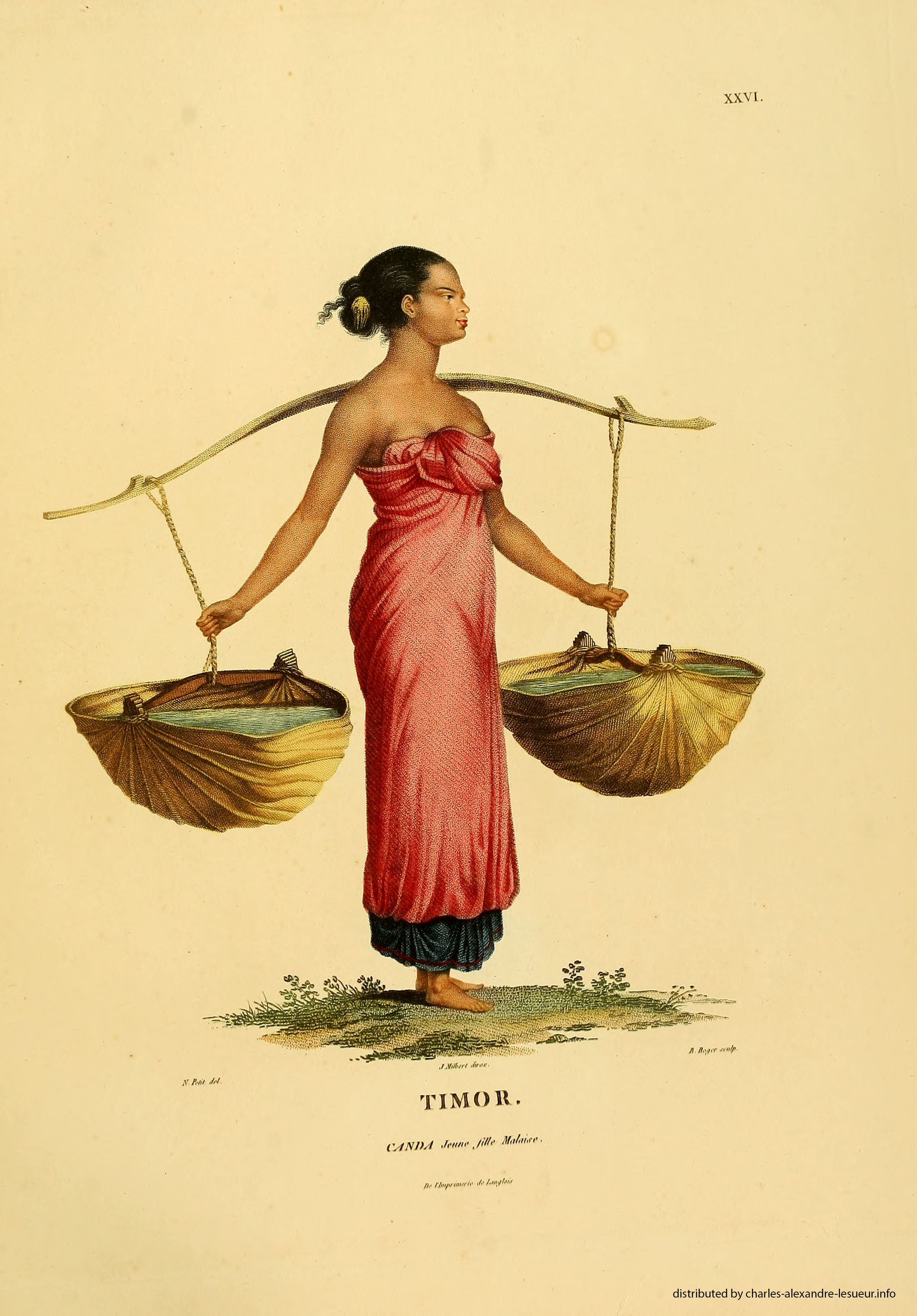 Atlas 1807, Lesueur & Petit, planche 26