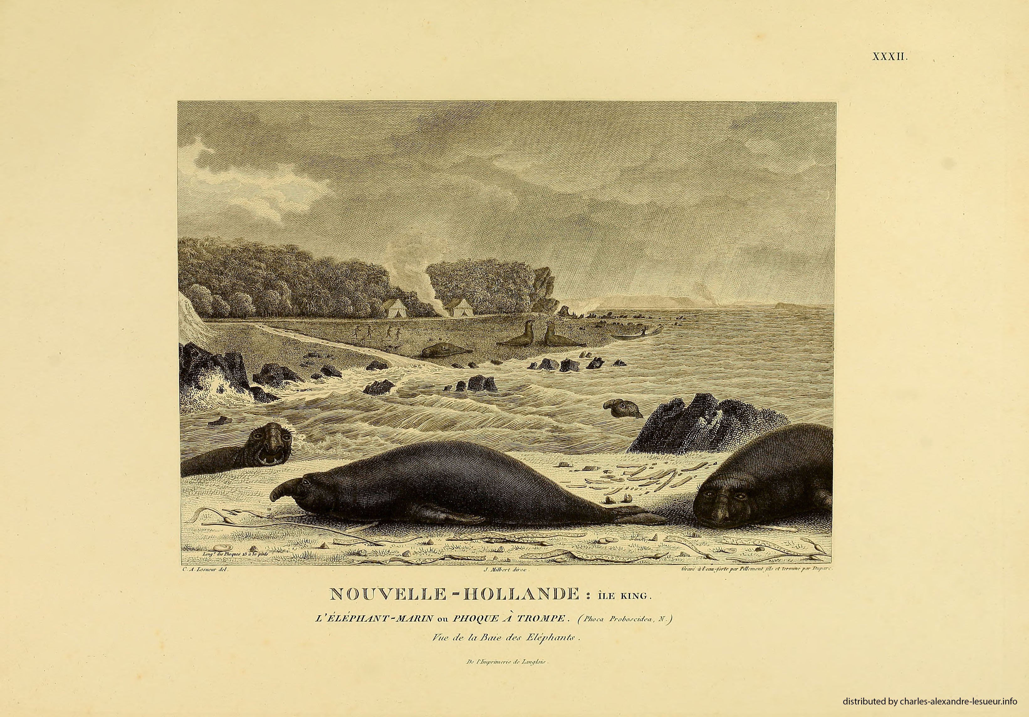 Atlas 1807, Lesueur & Petit, planche 32
