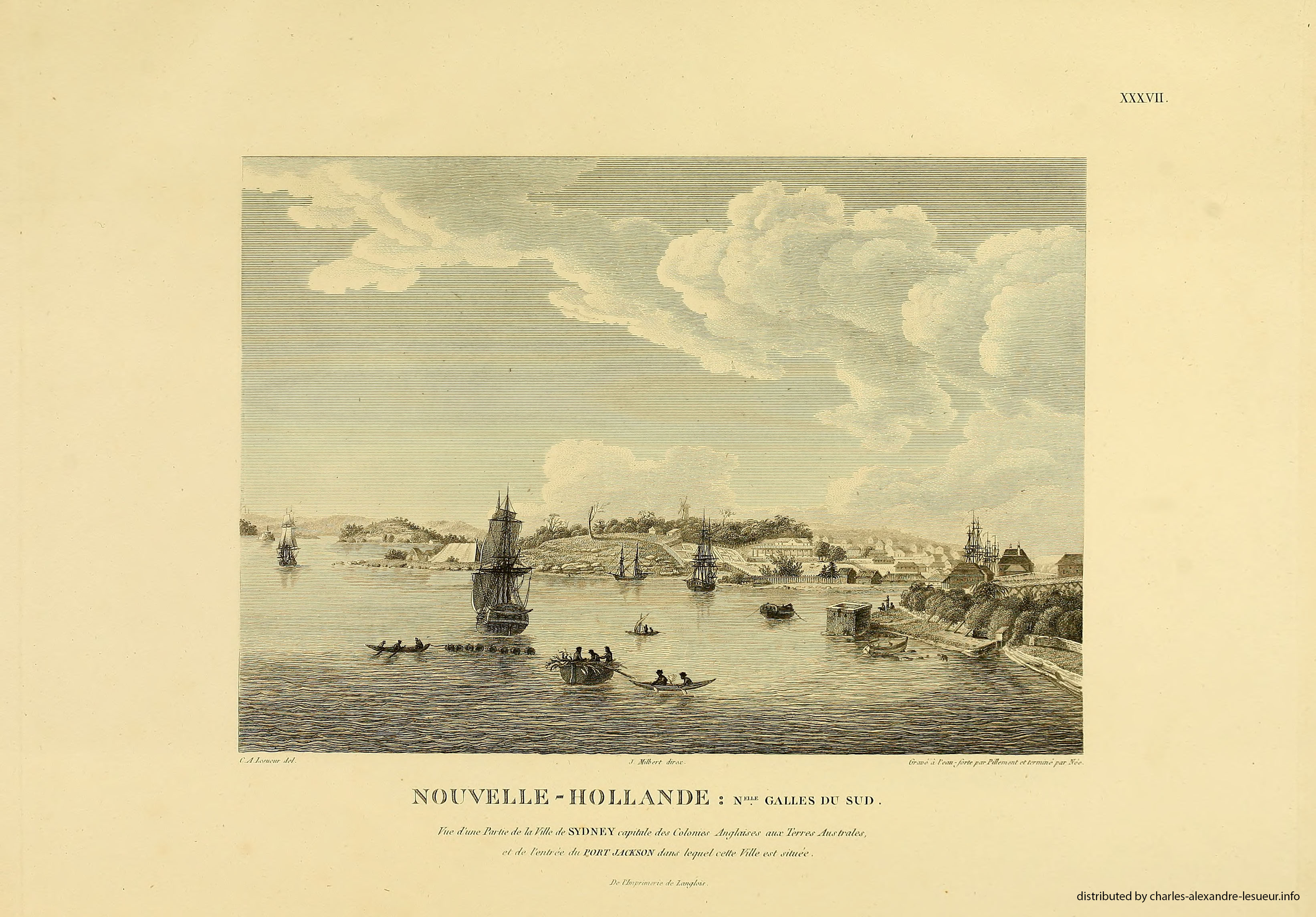Atlas 1807, Lesueur & Petit, planche 37