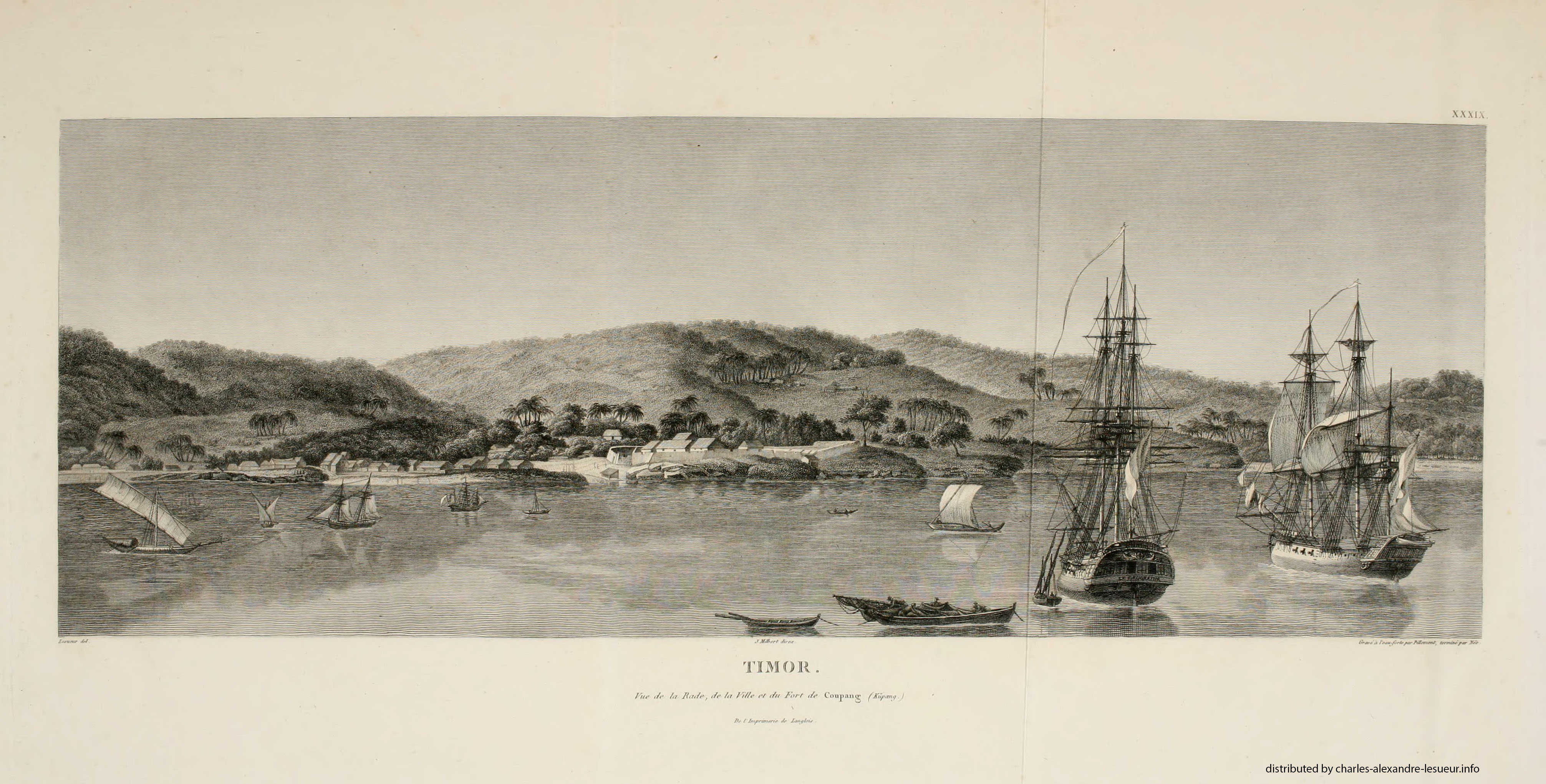 Atlas 1807, Lesueur & Petit, planche 39